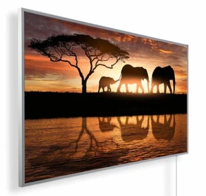 Infrarot Bildheizung 300-1200 Watt TÜV & GS Infrarotheizung mit Thermostat-60 - Bild 1 von 8