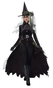 Gothic Witch Wizard of Oz Adult Women Costume  - Picture 1 of 4