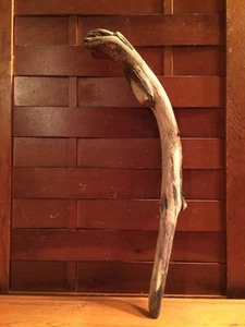 Schönes 17" TREIBHOLZ Kunstwerk Terrarium Taxidermie Aquarium Strand Holz DEKOR - Bild 1 von 7