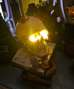 Tk Maxx Halloween Vintage Gothic Hexen Totenkopf auf Zauberbüchern leuchtet selten - Bild 1 von 12