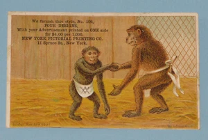 VTG ADVERTISING VICTORIAN TRADE CARD NEW YORK PICTORIAL PRINTING CO. ART NOVELTY - Picture 1 of 3