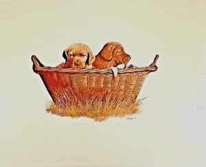 Estampado Phillip Crowe vintage, cachorros de laboratorio en una cesta, 11x14, sin marco, nuevo - Imagen 1 de 4