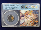 🌟 49'er California Gold Nuggets From S.S. Central America 1857 GLOBAL