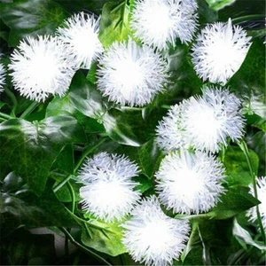 Solar Dandelion Fairy Lights GloBrite 20 LED Waterproof Outside Garden Light - Picture 1 of 6