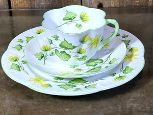 SHELLEY Dainty CELANDINE # 14055 Tea Cup, Saucer, 8" Dessert Bone China - Picture 1 of 19