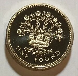 Great Britain 1 Pound 1991 - Northern Ireland - Blooming Flax - Proof