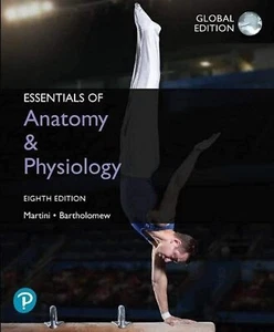 Essentials of Anatomy & Physiology 8e by Frederic H. Martini Global Edition - Picture 1 of 1