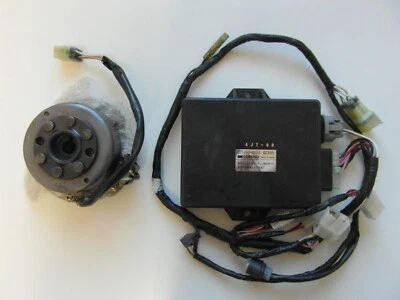 Yamaha TZ 125 4TJ-85501 Caja de encendido Arnés de cableado Encendido CDI Magneto Set Foto 1 de 4