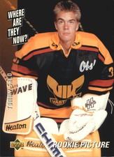 1995-96 Swedish Upper Deck #246 Tommy Salo