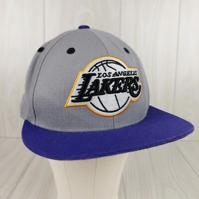 Los Angeles Lakers NBA Mitchell & Ness Arch Graphic 7 1/2 Fitted Hat Gray Purple - Image 1 of 4