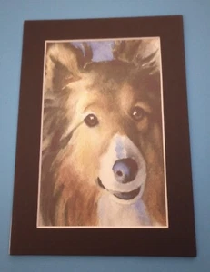 Impresión de pintura de Shetland Sheepdog Sheltie o Collie de 5" x 7" mate de 4" x 6" - Imagen 1 de 2