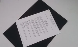 DIANA ROSS  Voice Of Love 1997 2 page PRESS RELEASE  - Imagen 1 de 2