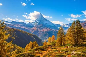 Foto Kunst Wandbild-BERGLANDSCHAFT- (4381)-VLIES-Tapete-Wald XXL - Bild 1 von 3