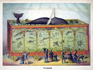 1873 Vintage Traveling Aquarium Show Circus Poster Advertising Wall Art Print - Picture 1 of 2