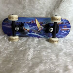 Mini Skateboard Lil Lunatic Complete Deck Board Skate  Wood 17"