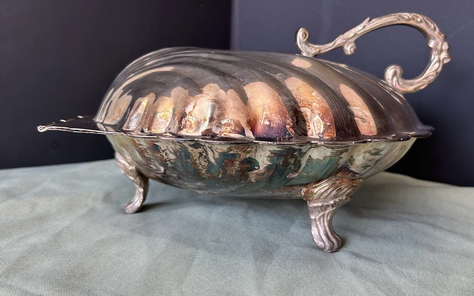 Plato buffet para servir con carcasa de almeja con bisagras plateadas, patas de doble cara único Foto 1 de 4