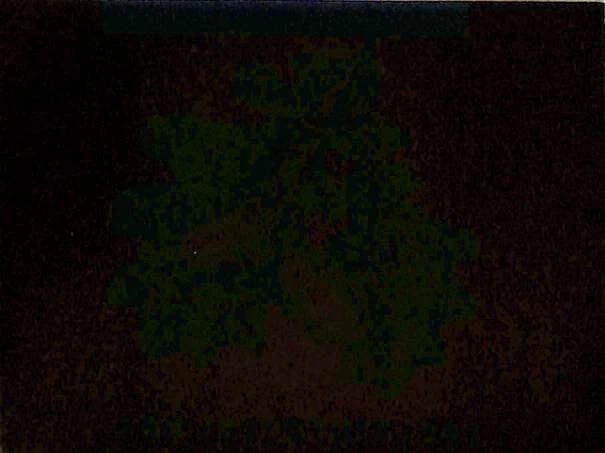 Switzerland, Postage Stamp, #B581 Booklet Mint NH, 1992 Acorn, Tree - Image 1 of 1