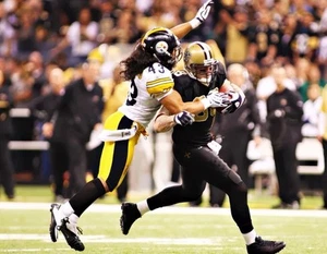 Troy Polamalu #43 Pittsburgh Steelers NFL 8"X10" Glossy Photo Print - Picture 1 of 1