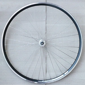 28" Vorderrad Felge Rodi Airline Nabe mit Vollachse zum Verschrauben DT Speiche - Bild 1 von 3