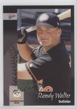 2003 MultiAd Sports Hagerstown Suns Randy Walter #27