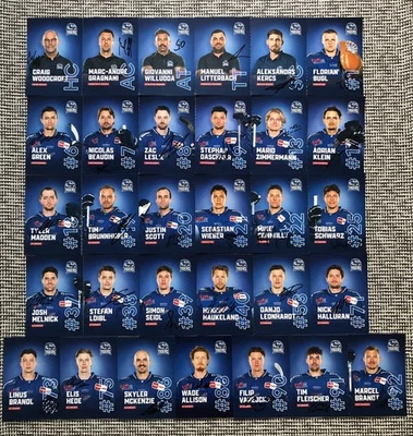 31 Handsignierte Autogrammkarten STRAUBING TIGERS Eishockey 25/26 2025/2026 Satz - Bild 1 von 3