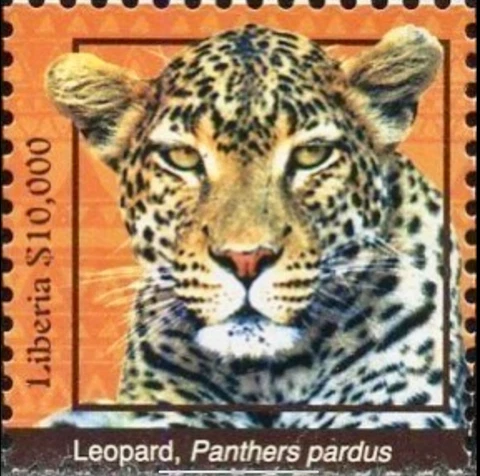 Liberia #Mi7089 MNH CV€250.00 2017 Definitive Leopard Panthera pardus [3190] Cover