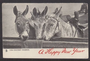 GB POSTCARD: 1909 CARD CANCELLED AT FOREST GATE WITH 3 HANDSOM FELLAS - Foto 1 di 2
