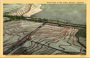 Aerial View Of Rice Fields Stuttgart Arkansas Linen Postcard - Picture 1 of 4