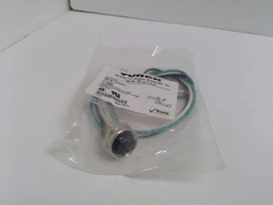 Turck RKF 36-0,5 M/NPT U-03680 Minifast 3 Pin Buchse NPT Schott Kabel 0,5 m Leitungen - Bild 1 von 3