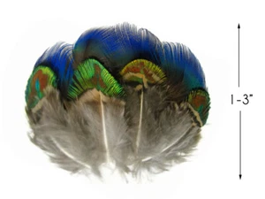 20 Pieces - Mix Iridescent Blue, Green & Gold Peacock Plumage Loose Feathers - Picture 1 of 7