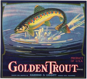 *Original* GOLDEN TROUT Fish Harding & Leggett Orange Crate Label KEINE KOPIE!! - Bild 1 von 1