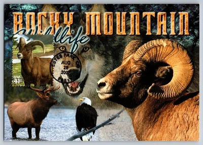 #4198e Alpine Tundra Bighorn Sheep FDC Maxi Card - Image 1 of 2