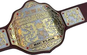 NWA Big Gold Dual Plated World Heavyweight Championship Title Belt Brass - Picture 1 of 3
