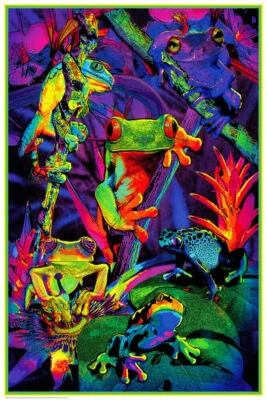 Ranas de árboles - Póster de luz negra sin flocado 24" x 36" Foto 1 de 3
