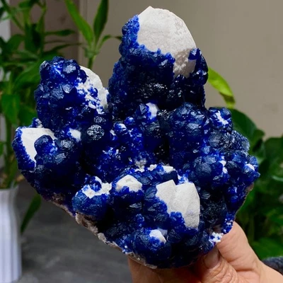 Racimo de cuarzo fluorita arándano natural de 2,3 lb cristal mineral muestra curación Foto 1 de 4