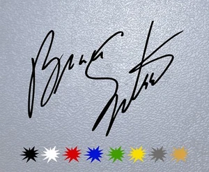 STICKER PEGATINA DECAL VINYL Bruce Springsteen Signature - Picture 1 of 2