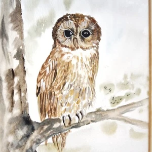 Chouette Hulotte aquarelle Originale 20e signée - Picture 1 of 6