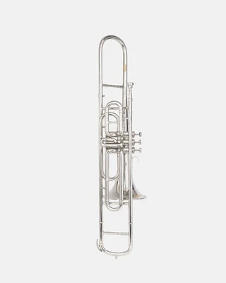 Жесткий чехол и мундштук Trombone Bb PRO (никель), латунь. - Изображение 1 из 4
