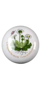 Portmeirion Botanischer Garten Chrysantheme Leukantheme Schublade Schrank Zugknopf - Bild 1 von 5