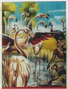 Original vintage poster PINK FLAMINGOS & MONKEYS WILDLIFE c.1930 - Picture 1 of 1