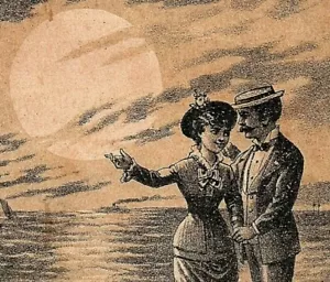 Trade Victorian Card Hold-To-The-Light New Home Sewing Machine Co Orange MA - Bild 1 von 5