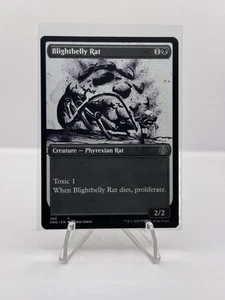 Blightbelly Rat (Vitrina) Firexia: Todos serán uno regular - Imagen 1 de 2