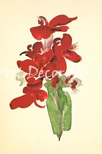 Abendstern Zahl IV-O'Keeffe - - LEINWAND ODER DRUCK WANDBILD - Bild 1 von 1