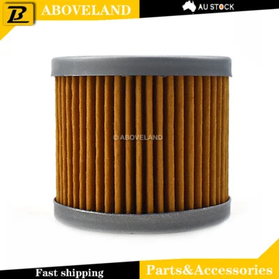 Filtro de aceite totalmente nuevo apto para Hyosung GV250 Aquila EFI 2009-2011 2012 2013 2014 2015 Foto 1 de 4