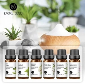 Essential Oil Natural Therapy Aromatherapy Diffuser Humidifier Massage | 10ML - Picture 1 of 11