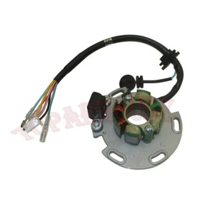 Lifan 150cc Magneto Stator Rotor Flywheel Fits Daytona 190 - Bild 1 von 7