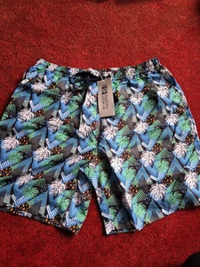 Mens BNWT Balcony & Falcon Quick Drying Swin Shorts - Picture 1 of 16