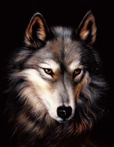 3D WILDLIFE LENTICULAR PRINT / PICTURE / WALL ART - WOLF FACE - Picture 1 of 7