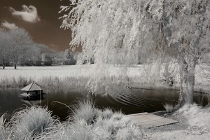 Nikon D50 infrared converted Camera 720nm standard Infrared Converted Camera IR