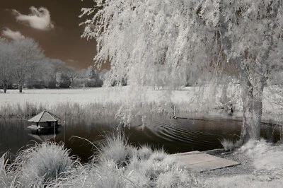 Nikon D50 infrared converted Camera 720nm standard Infrared Converted Camera IR - Image 1 of 4